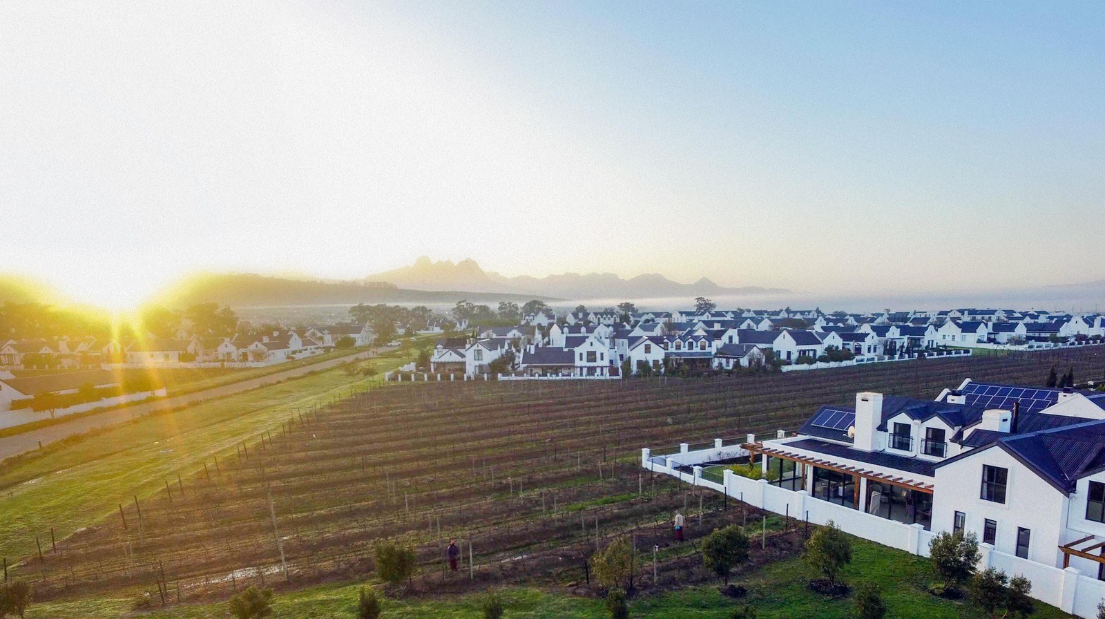 Croydon Vineyard Estate