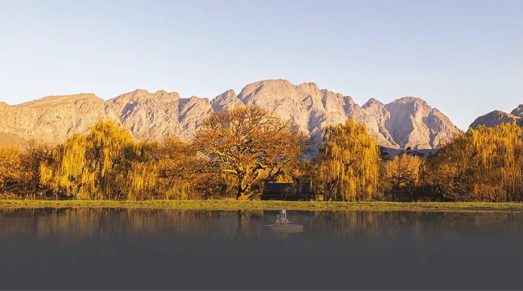 Backsberg Family Wines