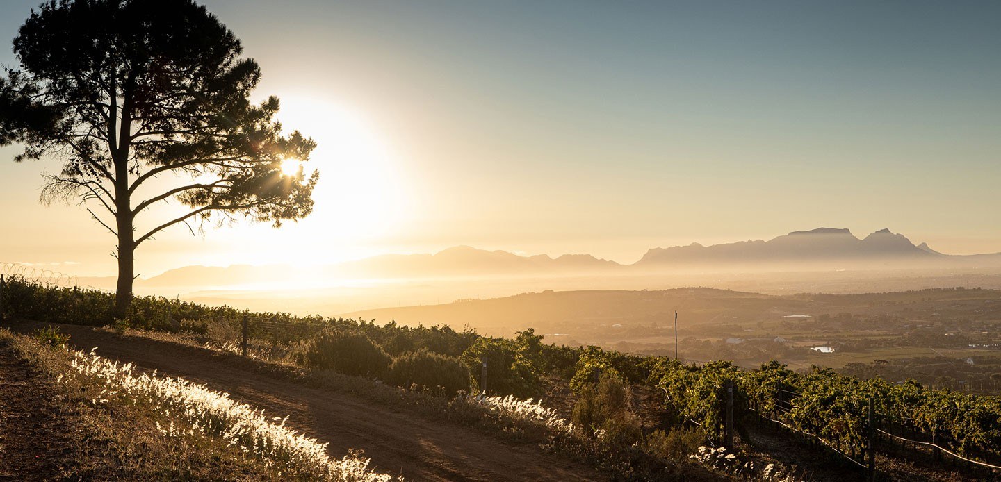 Le Chant Wines