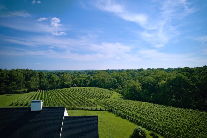 Iron Will Winery