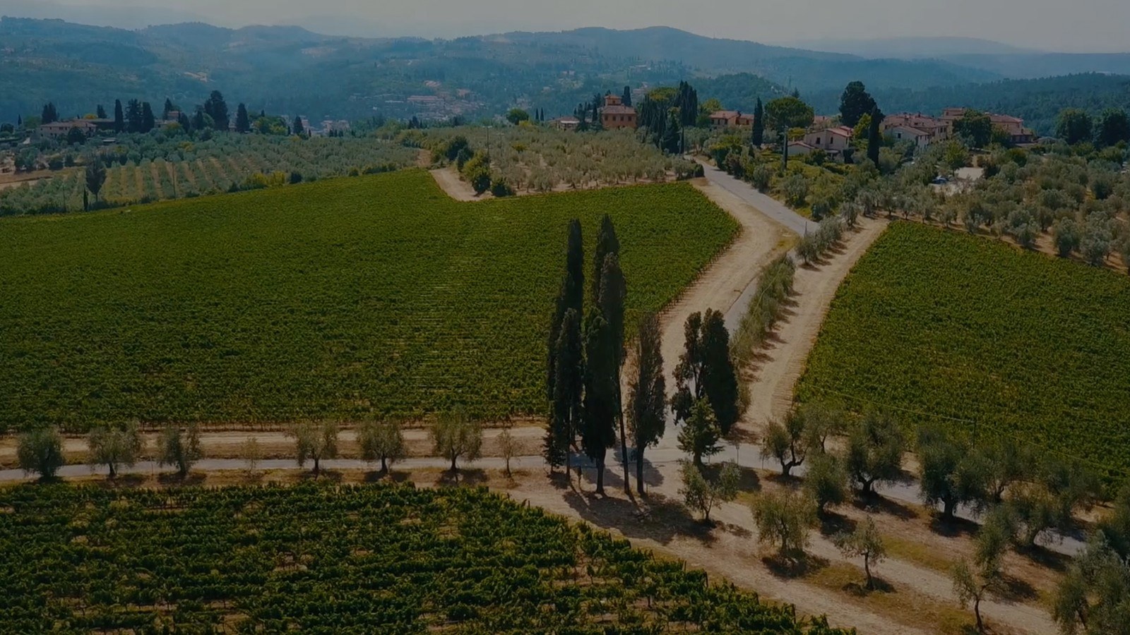 Tenuta Collazzi