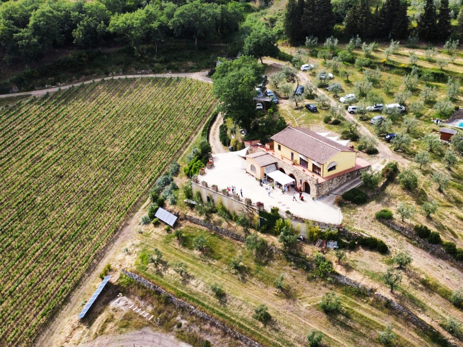 Isola delle Falcole