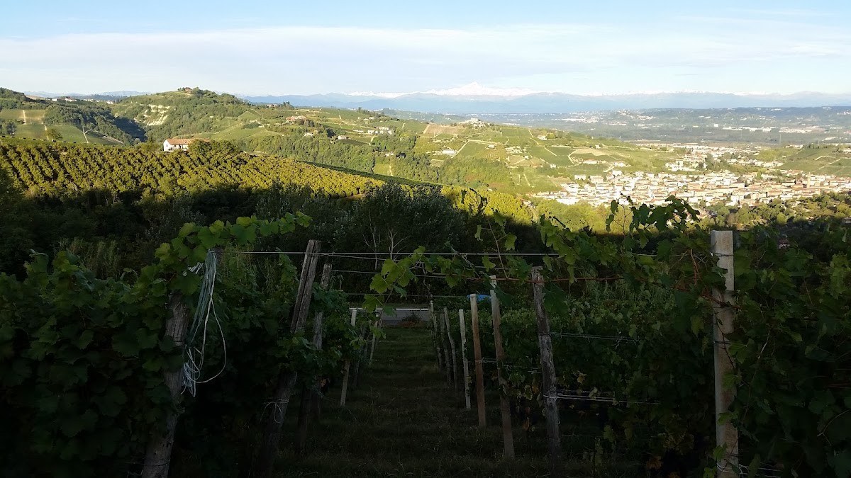 MULASSANO FRATELLI Società Semplice Agricola