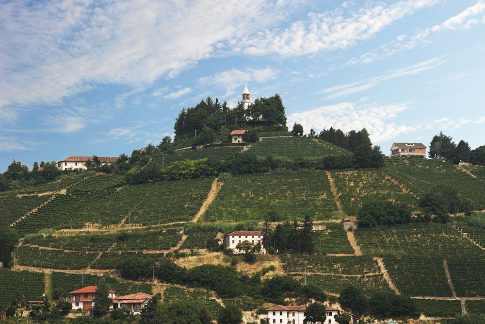 CASCINA DELLE ROCCHE DI MONCUCCO Az. Vit.Vin. di Delpiazzo Clara