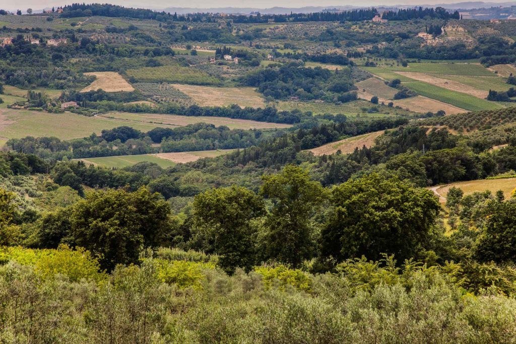 Bruscola