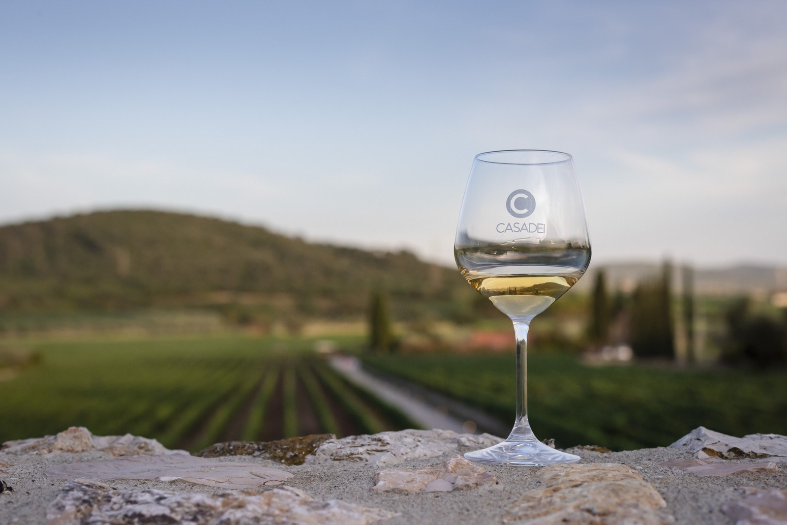 Tenuta Casadei