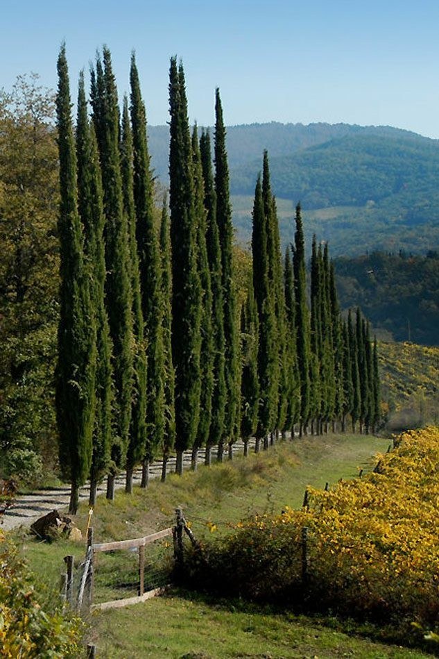 Podere Terreno alla Via della Volpaia