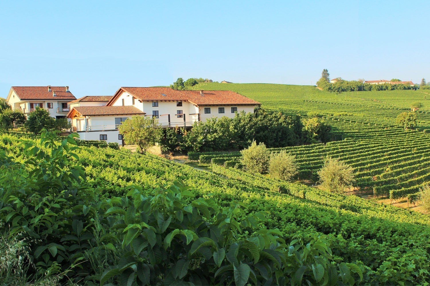 CASCINA CARLOT Az. Agr. di Claudio Mo