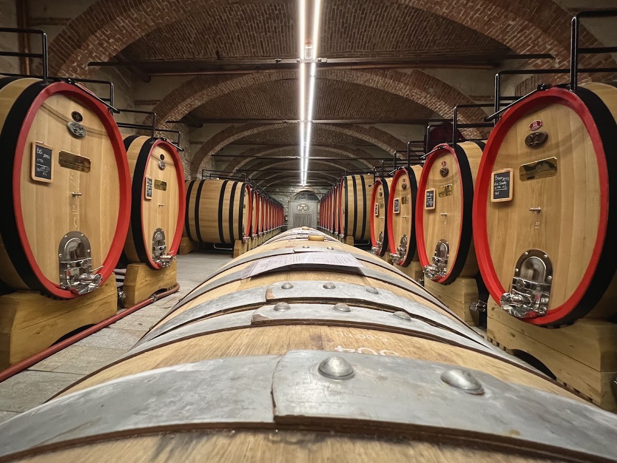 MARCHESI DI BAROLO GREEN VINEYARDS s.a.s.