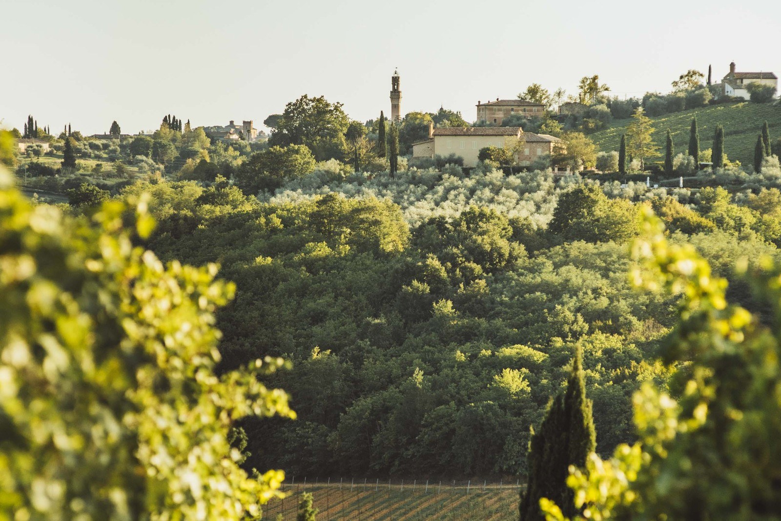 FonteBelvedere