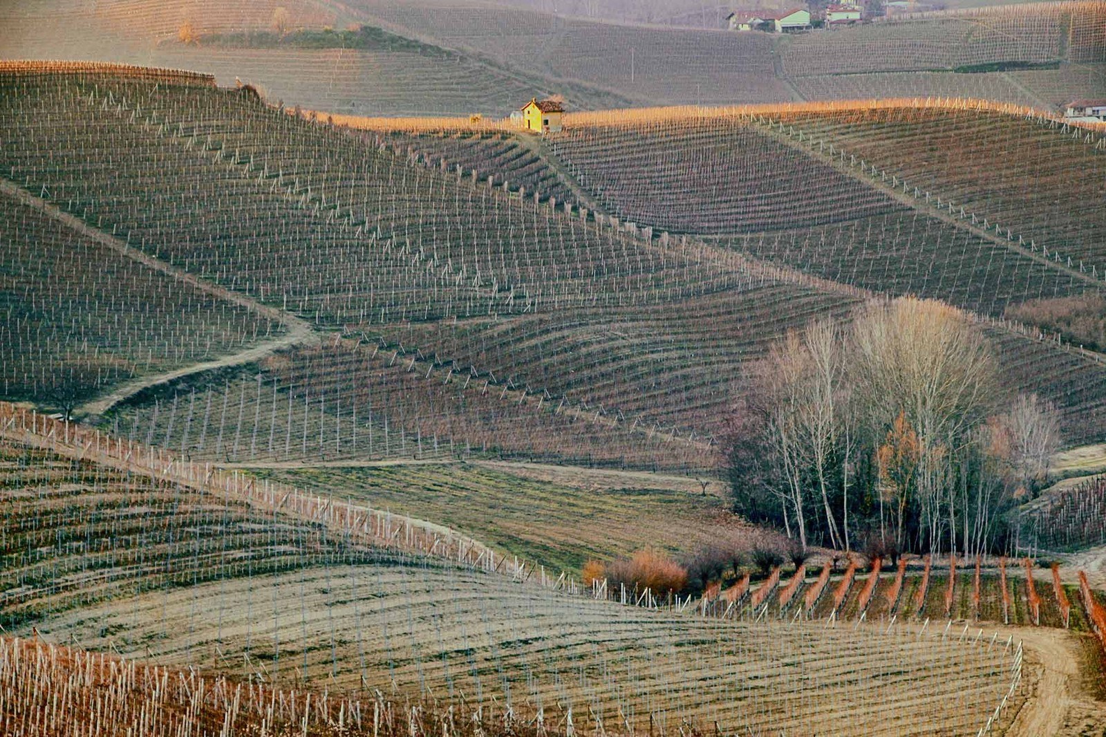 PODERI LANGA E ROERO Soc. Agr. s.s.