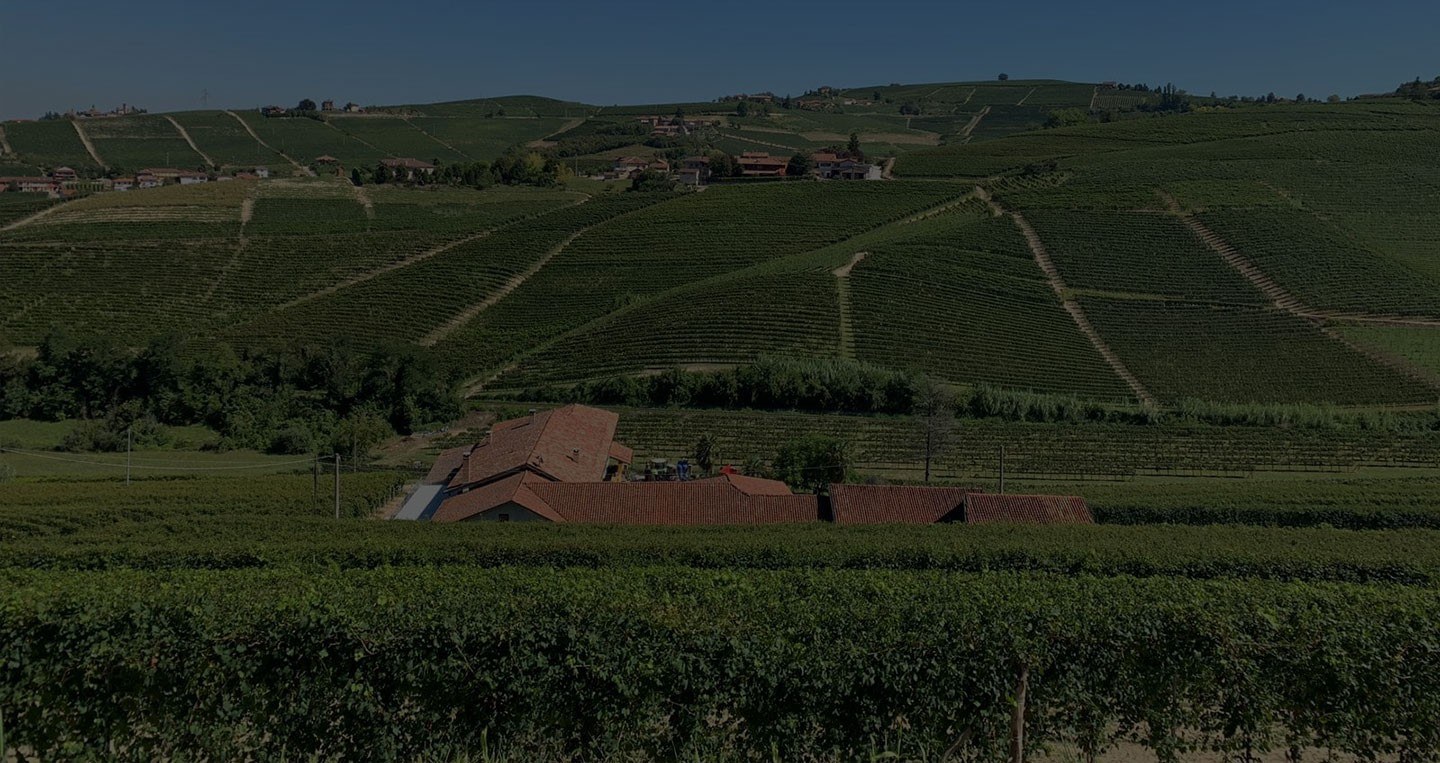 RONCHI Az. Agr. di Giancarlo Rocca