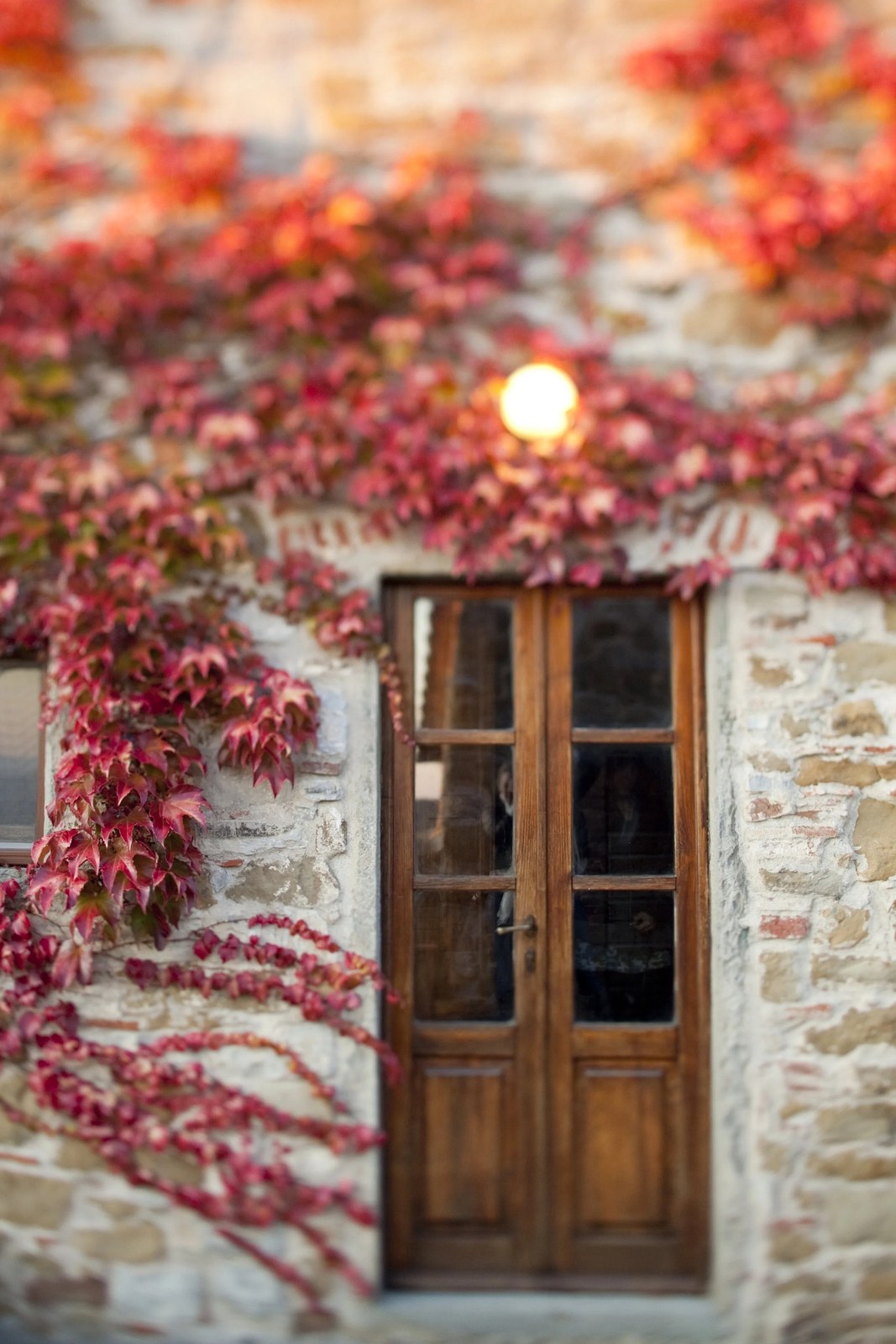 Podere Ciona