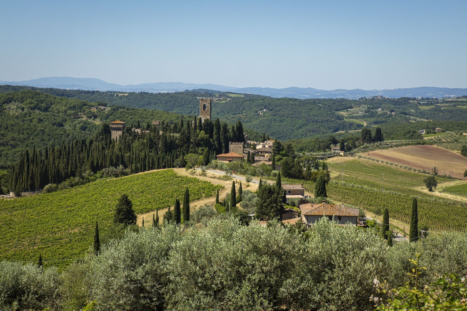 Torcilacqua
