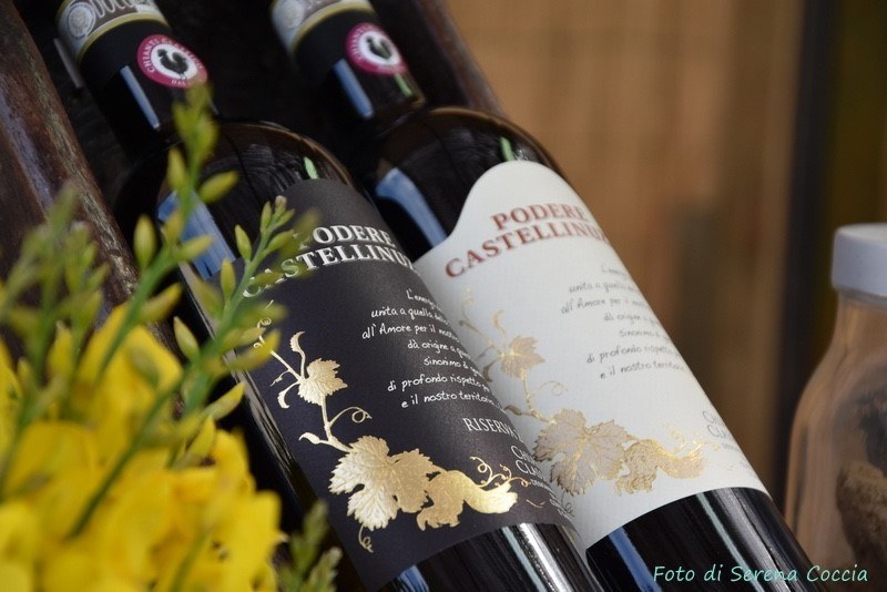 Podere Castellinuzza