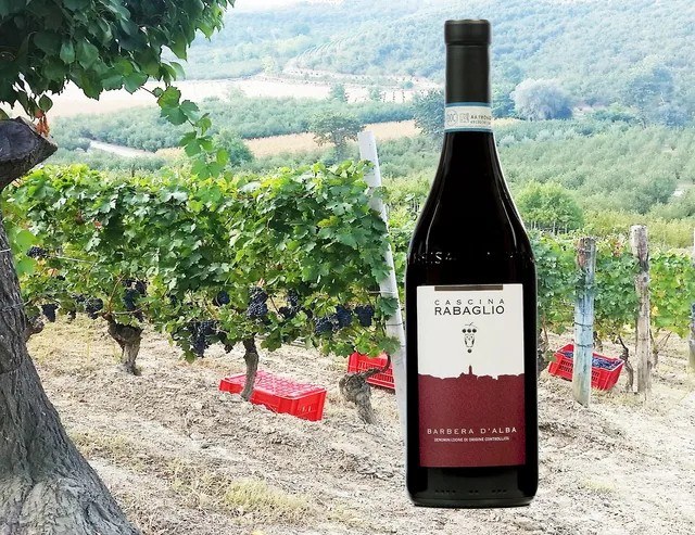 CASCINA RABAGLIO di Rigo Salatin s.s.a.