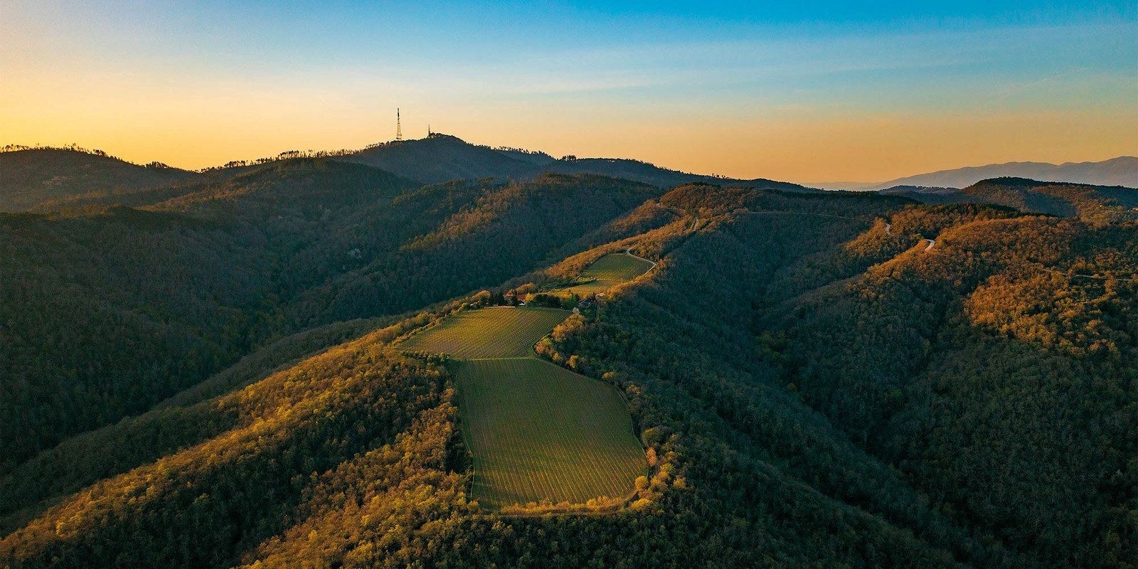 Tenuta San Vincenti