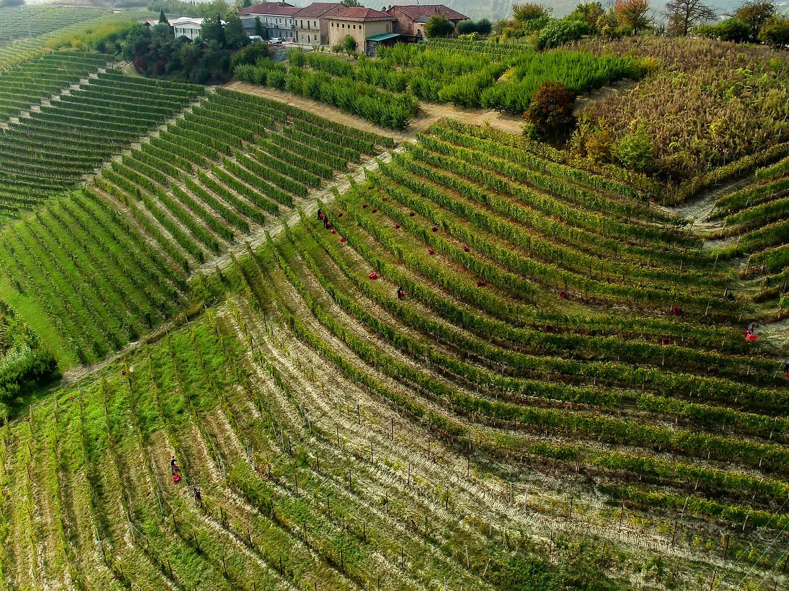 Poderi Moretti