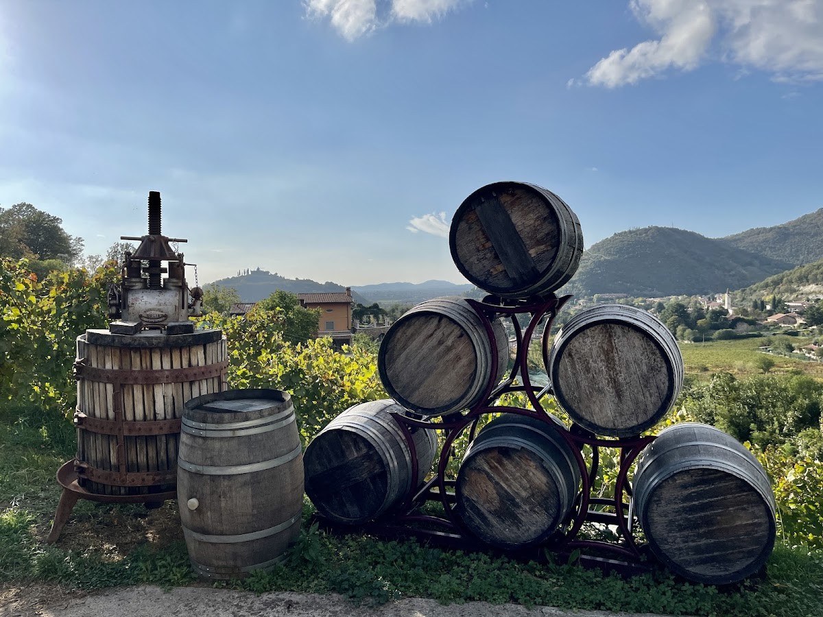 Colline della Stella di Andrea Arici