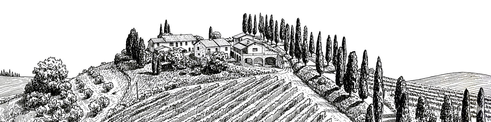 Podere La Vigna