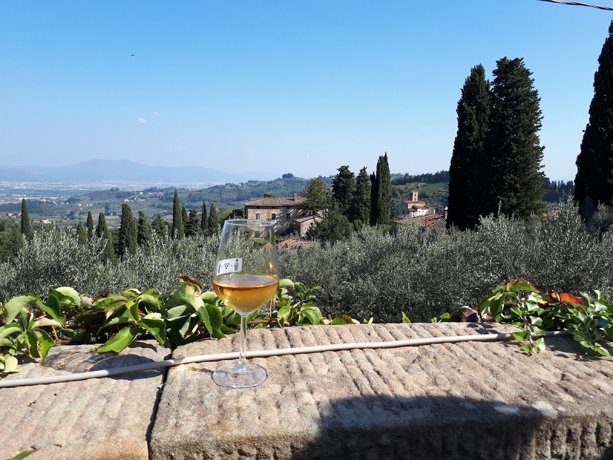 Fattoria di Bacchereto