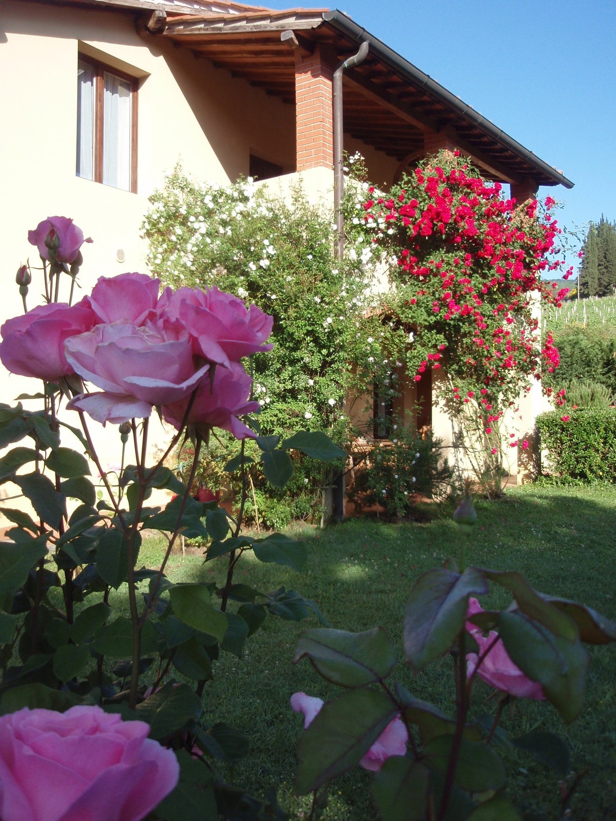 Villa Buonasera