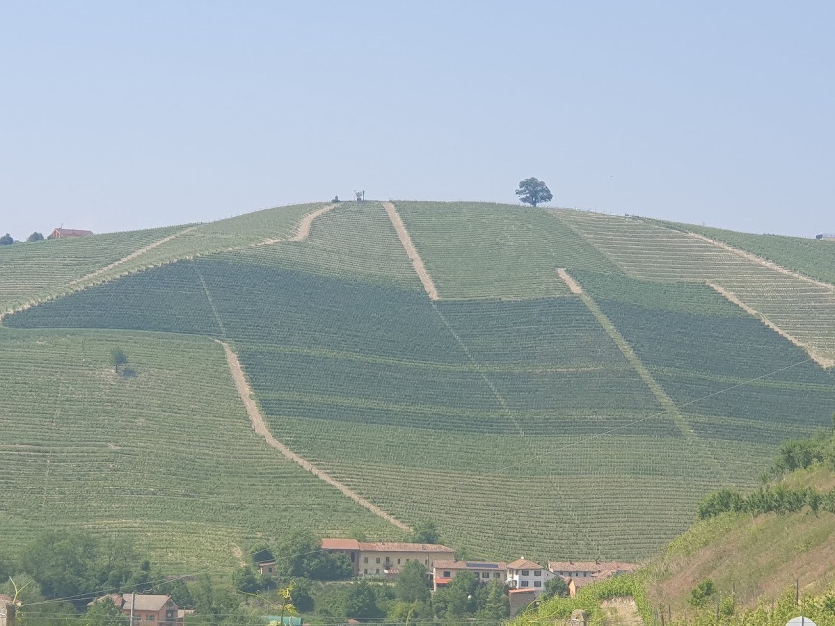 BERA AZ. AGR. di BERA VALTER
