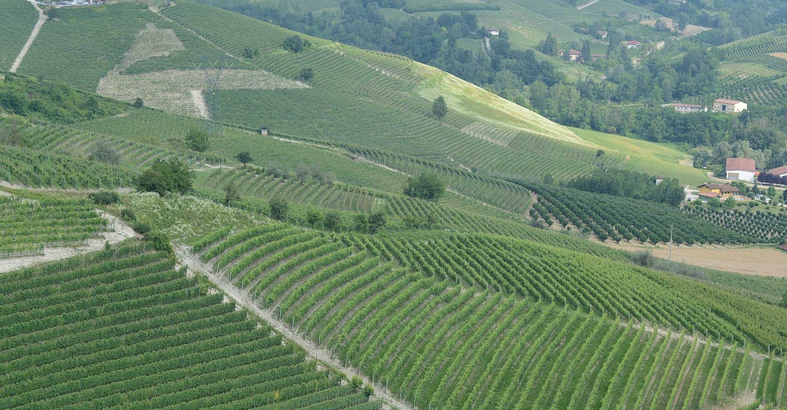CANTINA CLAVESANA Società Cooperativa Agricola