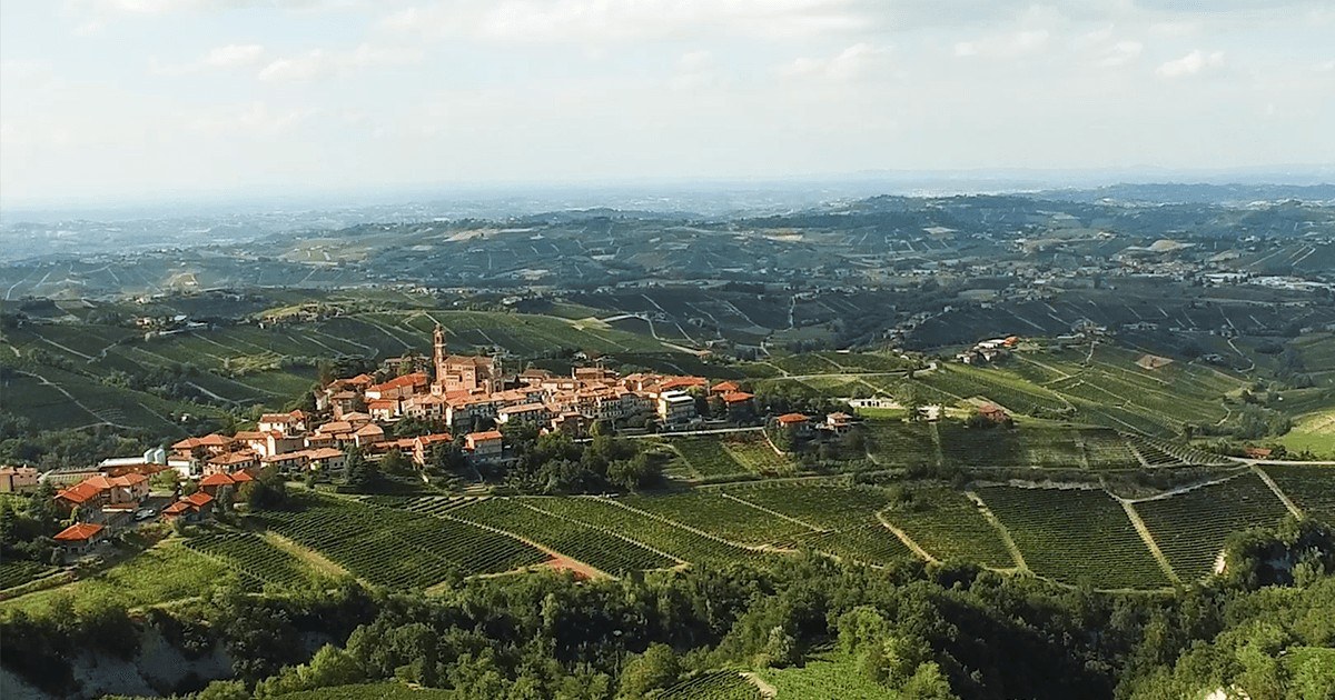 TERESA SORIA di Emanuele Contino Az. Agr.