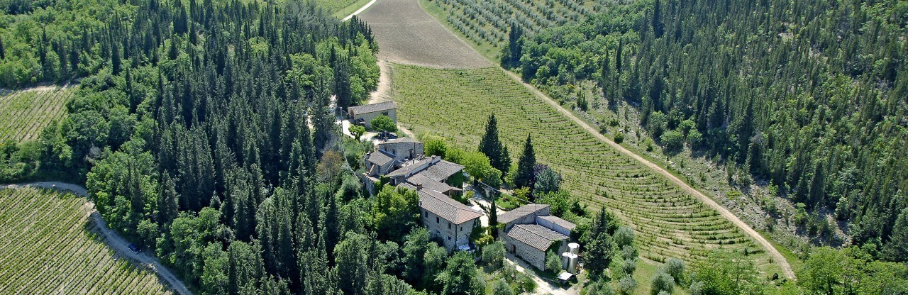 Fattoria La Ripa