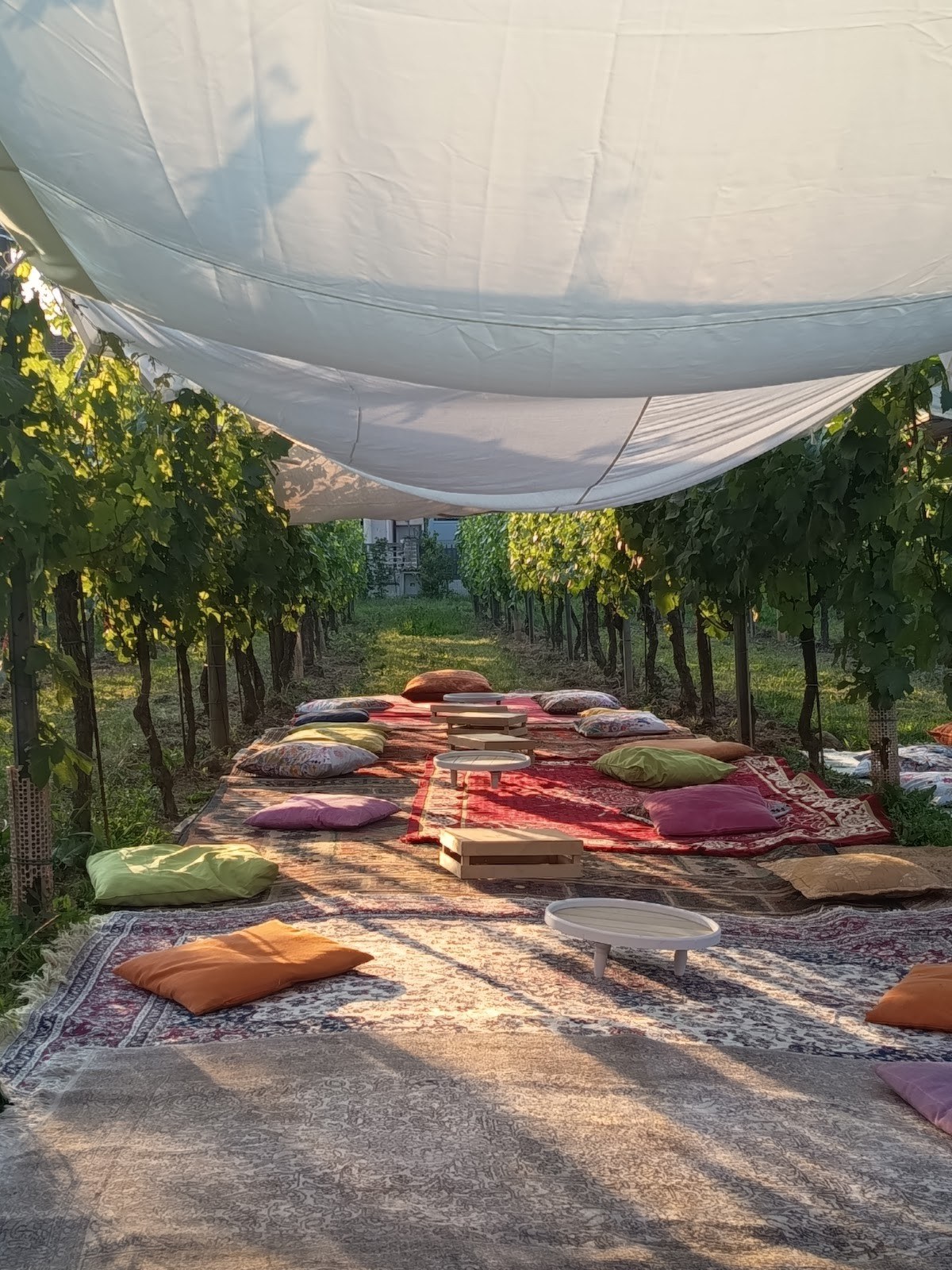 Tenuta Moraschi