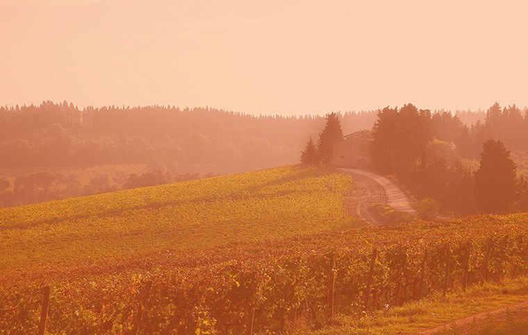 Fattoria La Leccia