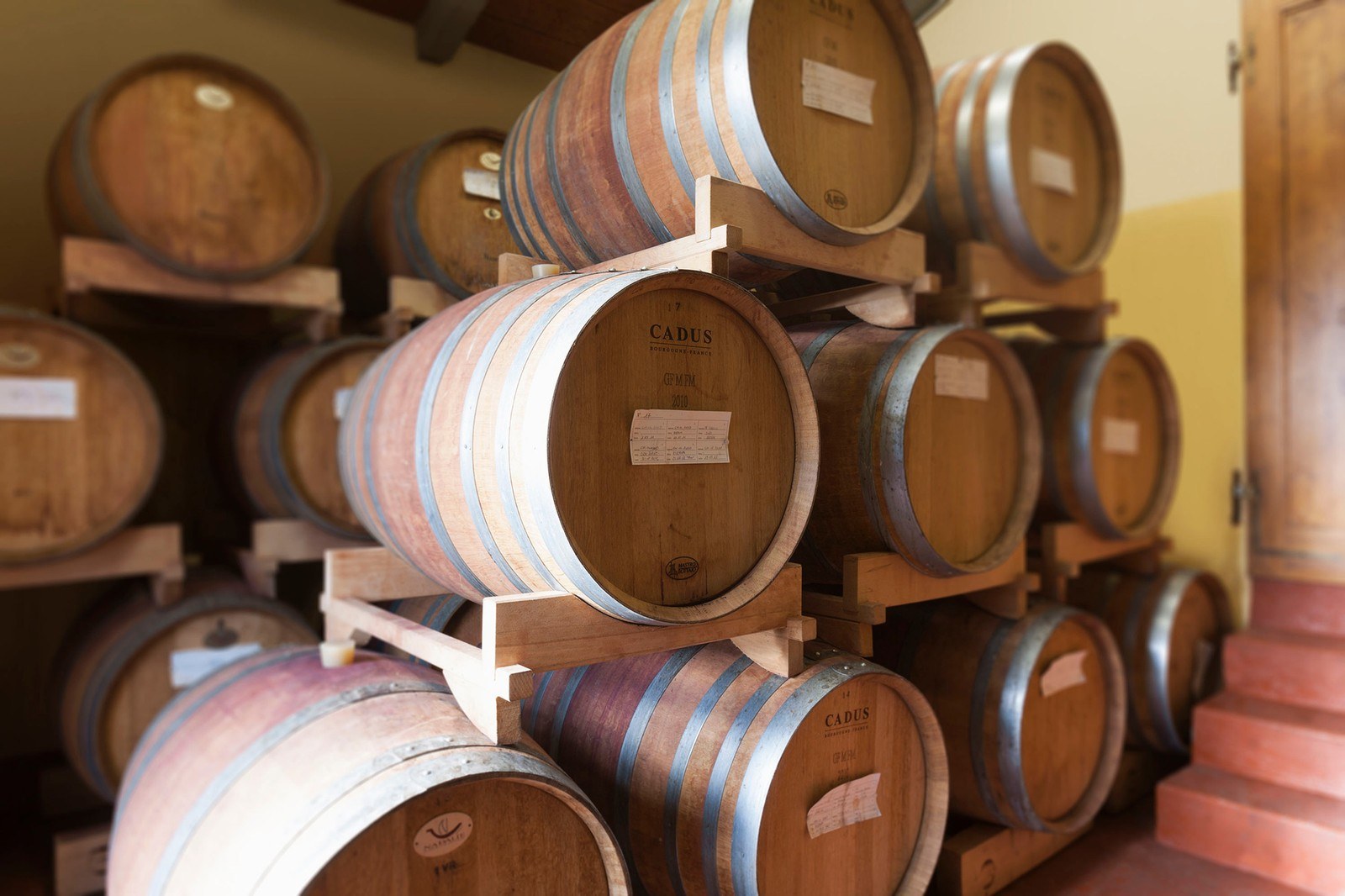 Cantina Poggio Borgoni