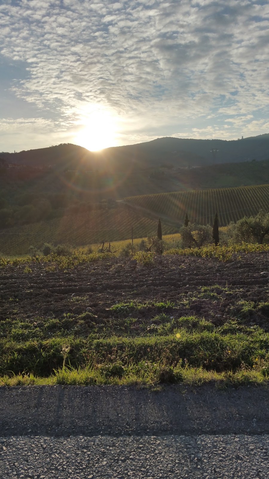 Podere Il Sassolo