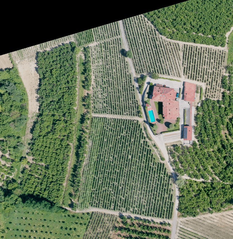 Agnelli Viassone SS Agricola