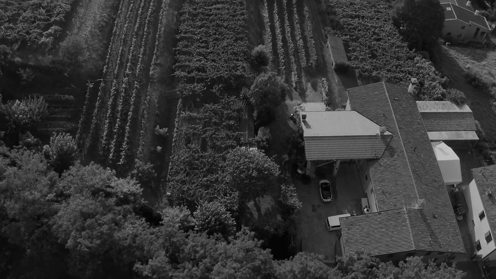 Tenuta Martinelli