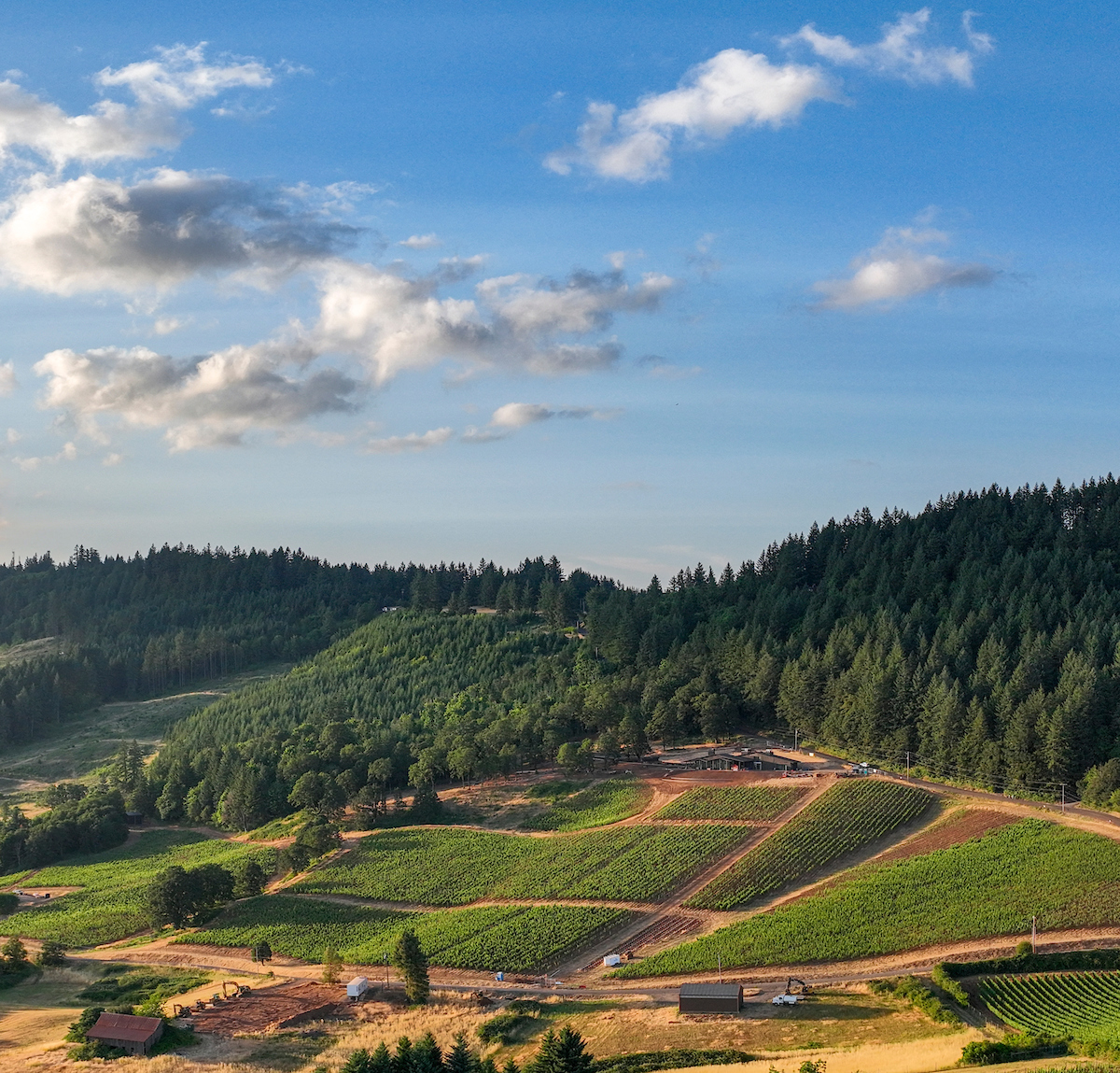 JACHTER FAMILY WINES, LLC