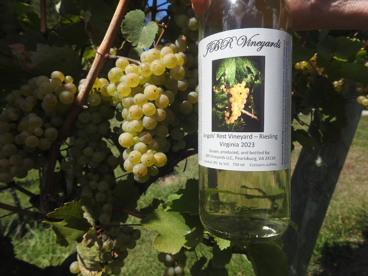 JBR VINEYARDS & WINERY