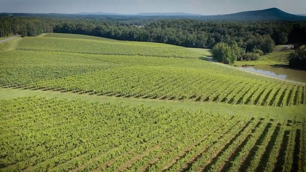 Jones von Drehle Vineyards