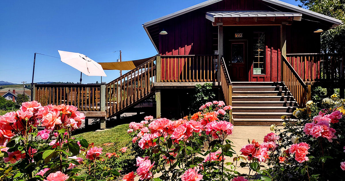 Kason Vineyards