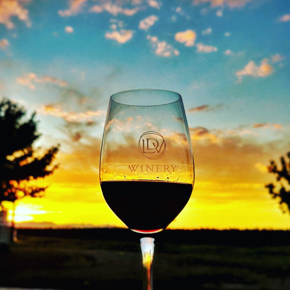 Lawrence Dunham Vineyards