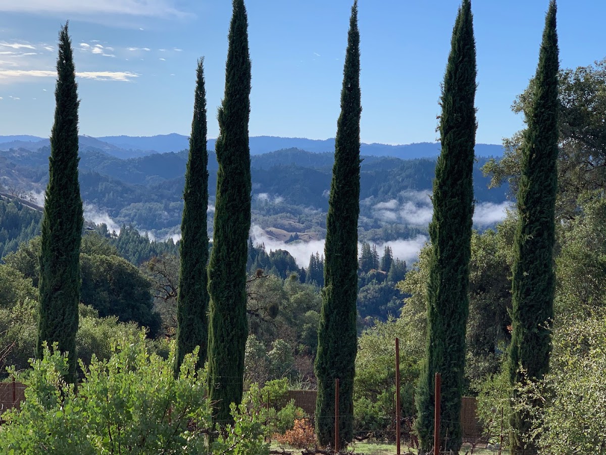 Le Vin Winery & Vineyards