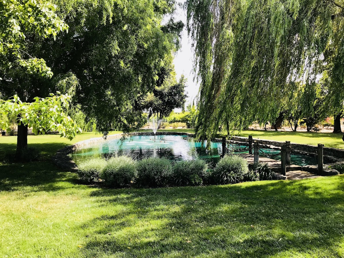 Leer Vineyards