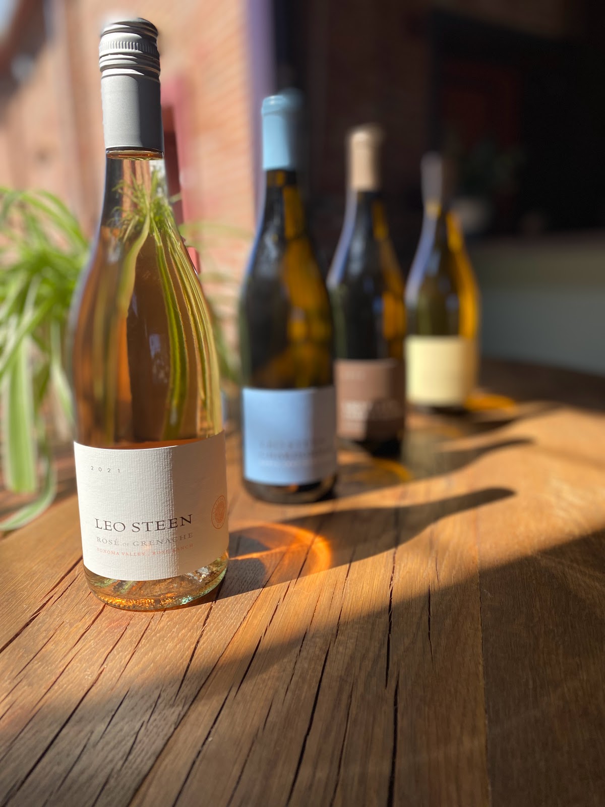 Leo Steen Wines