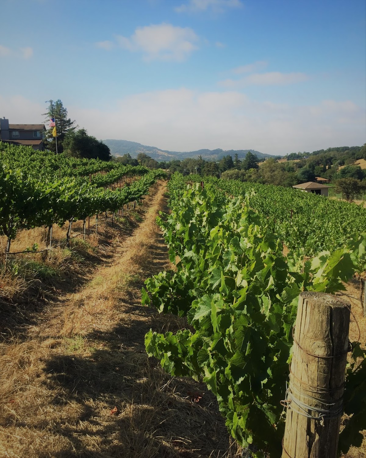 Les Lunes Wine