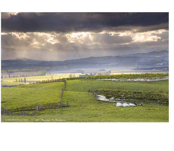 Lime Rock Wines