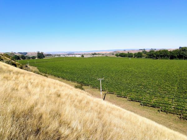 Lismore Wines