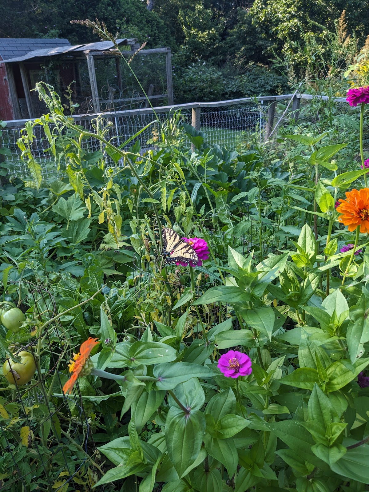 Little Beehive Farm