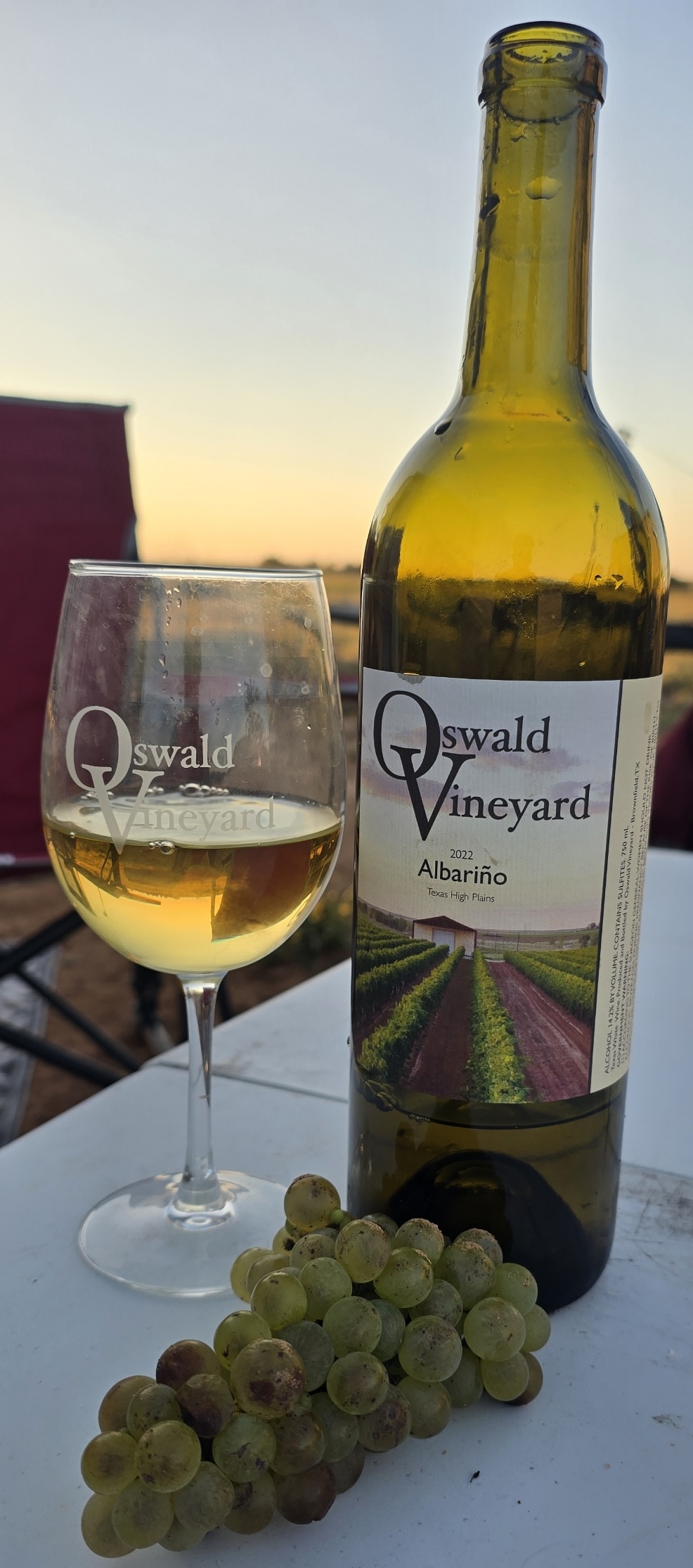 Long Shot Wines