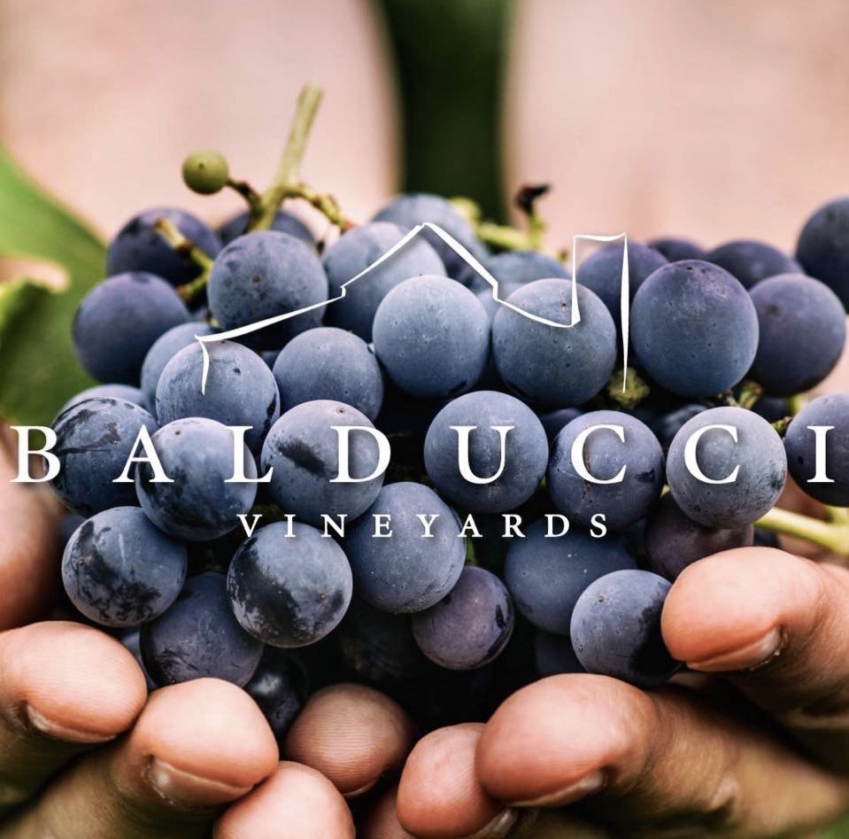 LOUIS P. BALDUCCI VINEYARDS